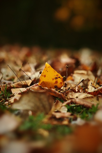划和精准投 划和精准投