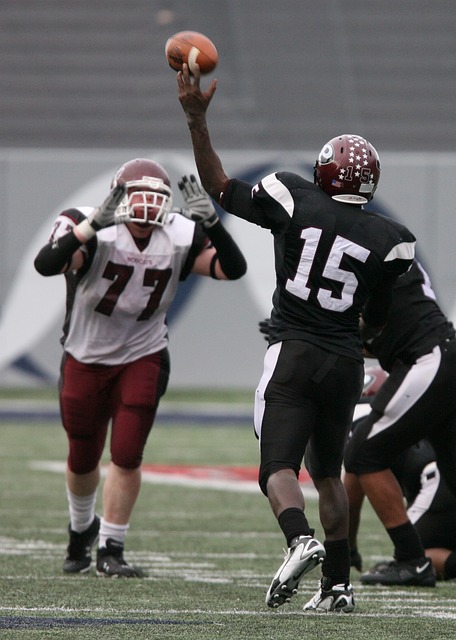 去年总决赛 去年总决赛