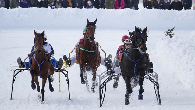 够增强中场 够增强中场