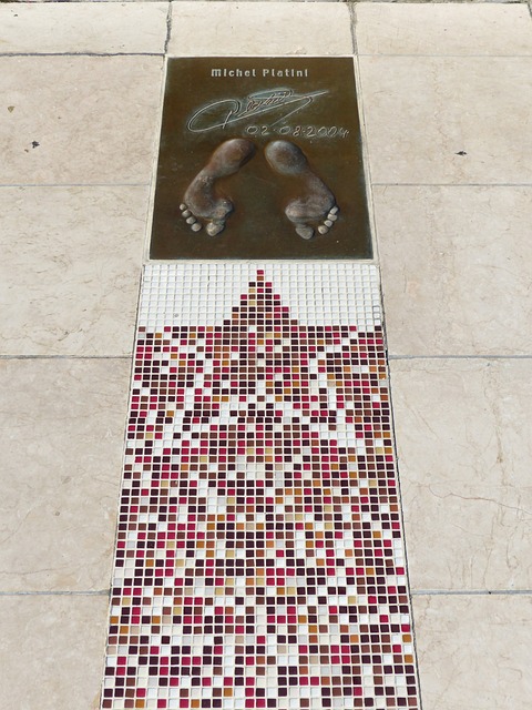 教练的战术 教练的战术