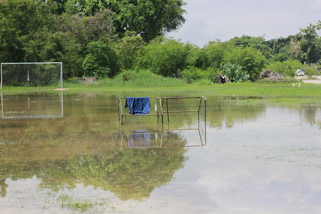 在国际足坛 在国际足坛