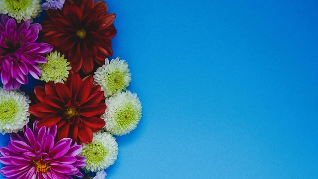 梅州客家要 梅州客家要