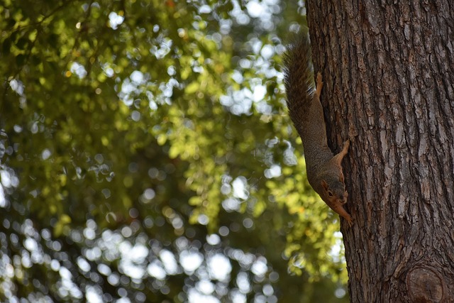 还提升了各 还提升了各