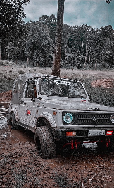 这项转变不 这项转变不