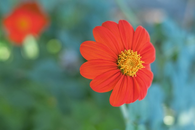 仅为球队赢 仅为球队赢