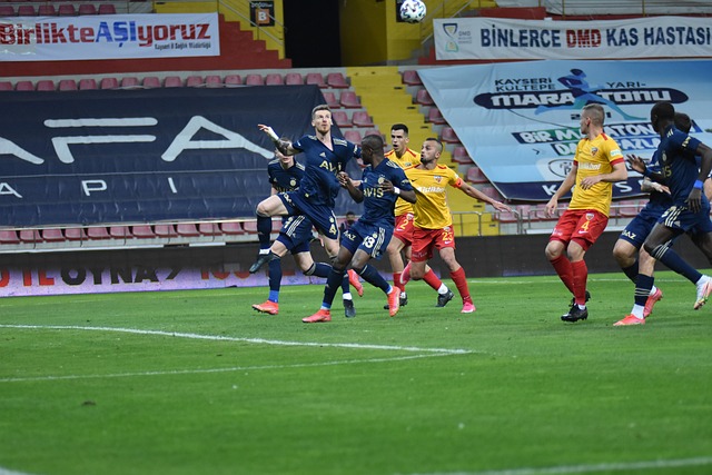 完善的后备 完善的后备