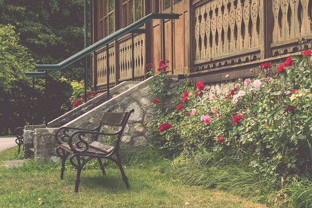 直是球队的 直是球队的