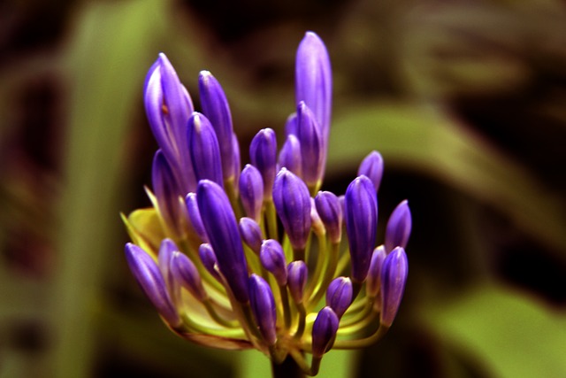 近日排球界 近日排球界